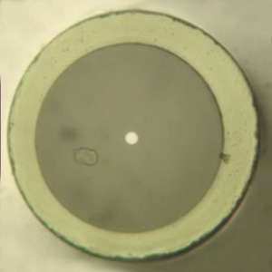 在0.3-5.5um超寬波段范圍內極低的損耗，并可進行定制